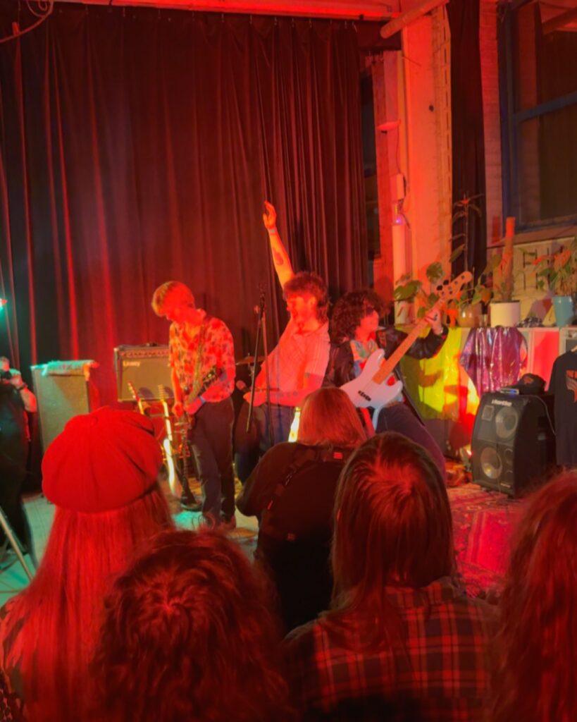 The Wildfires live in Stadsfabriek Alkmaar Rock in Color Festival.